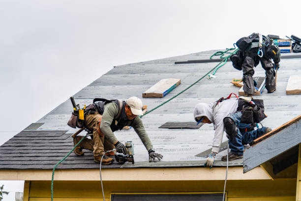 Professional Gutter Installation technician working in Northfield, MA